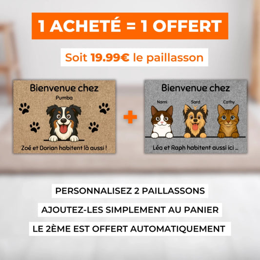 🇫🇷  CRÉAS 2025 LABO (2)